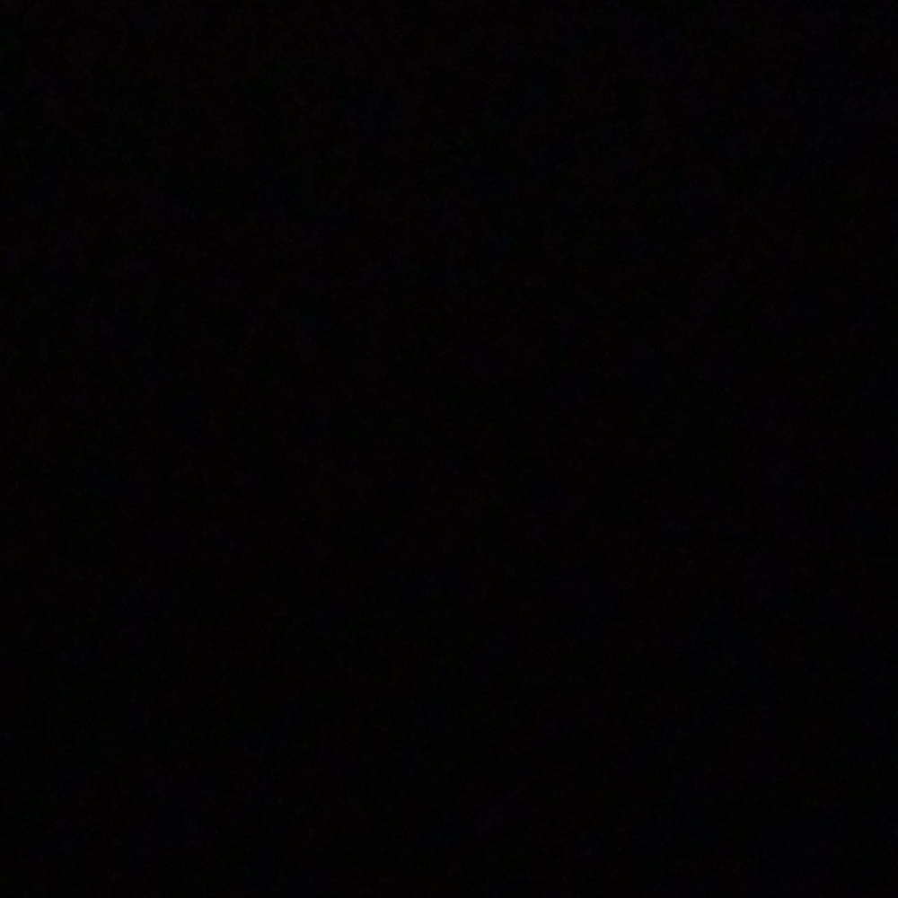 Meet your Posher, Bobbie